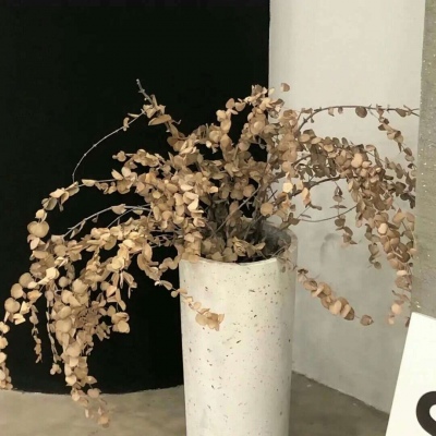 靖西FurryQQ群介绍